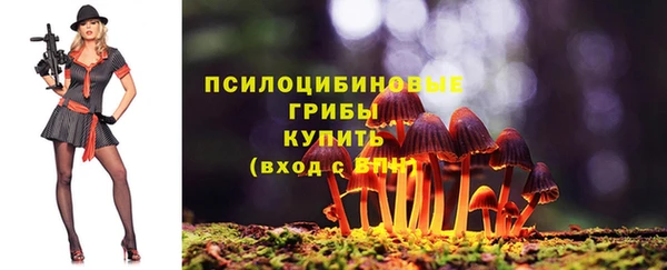 стафф Баксан