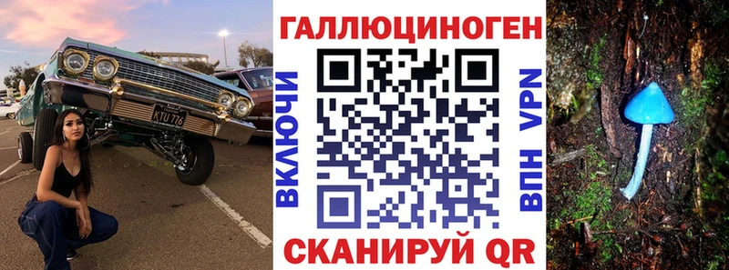 kraken ссылки  Новочеркасск  Псилоцибиновые грибы GOLDEN TEACHER 